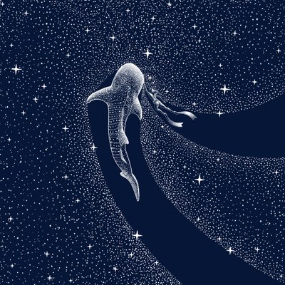 Voyage dans la galaxie des requins-baleines - Alirıza ÇAKIR