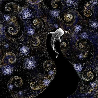 Le requin-baleine : une nuit étoilée - Alirıza ÇAKIR