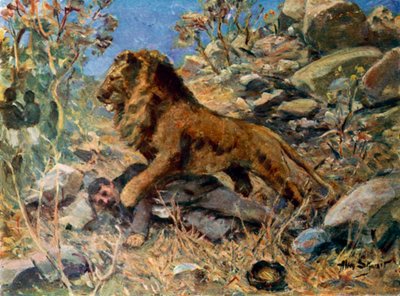 David Livingstone, Livingstone et le lion - Allan (after) Stewart