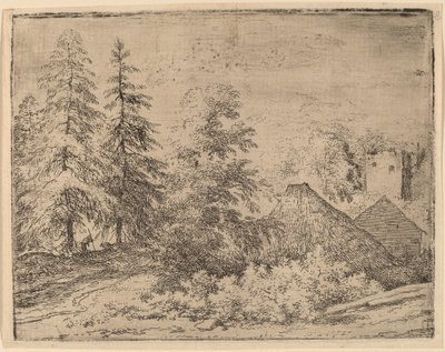 Homme entre deux sapins, probablement c. 1645-1656 - Allart van Everdingen