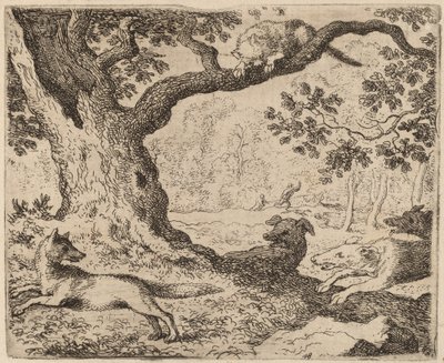 Le père de Renard et le chat poursuivis par des chiens, probablement vers 1645-1656 - Allart van Everdingen