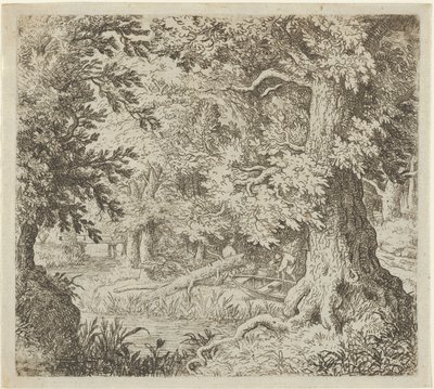 Le Ruisseau dans le bois, 17e siècle - Allart van Everdingen