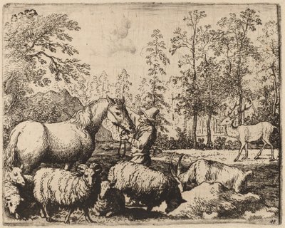 Le cheval et le cerf - Allart van Everdingen