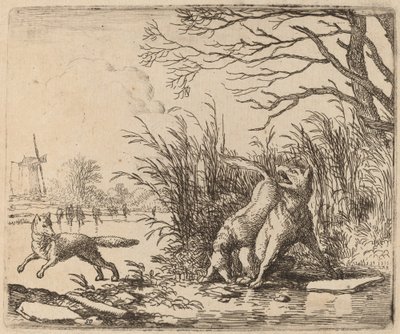 Les loups sur la glace - Allart van Everdingen