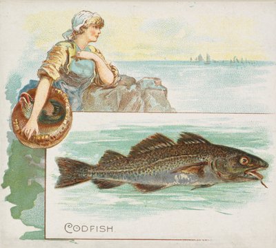 Morue, de la série Fish from American Waters N39 pour Allen & Ginter Cigarettes, 1889 - Allen and Ginter