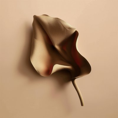 Forme organique douce - Alma