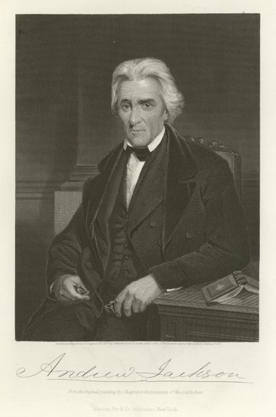 Andrew Jackson - Alonzo Chappel