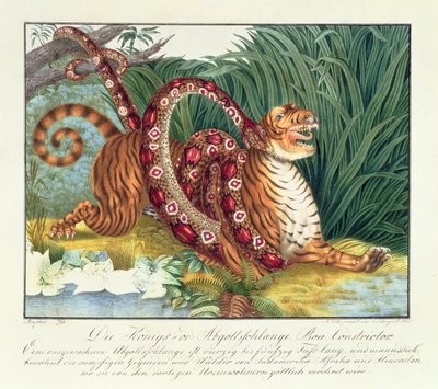 Le Tigre et le Boa Constricteur, 1835 - Aloys Zötl