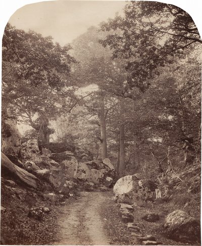 Fontainebleau,c. 1860s (photo) - Alphonse Francois Jeanrenaud