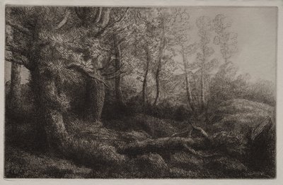 Étude de forêt - Alphonse Legros