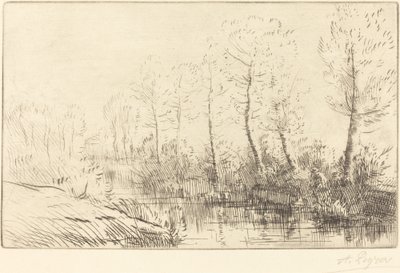 Les bouleaux: Bord de l