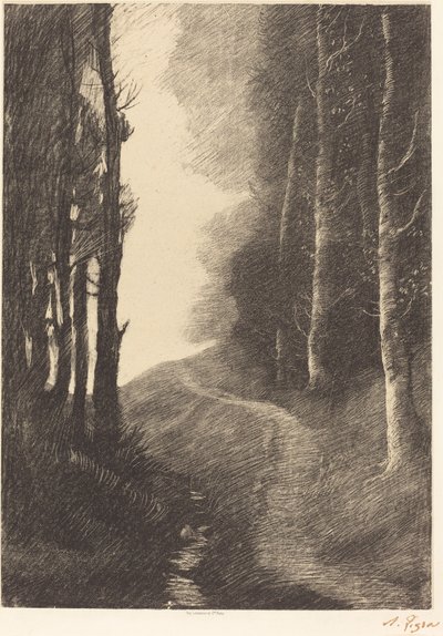 Le paysage aux bouleaux - Alphonse Legros