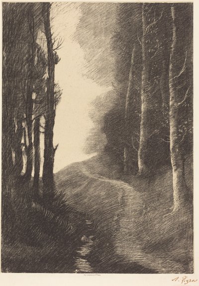 Paysage aux bouleaux - Alphonse Legros