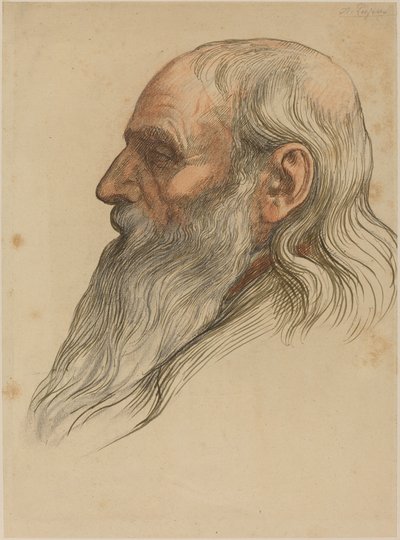 Étude de la tête d