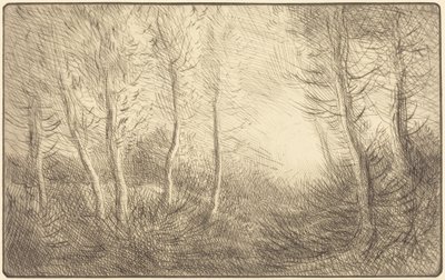Lever du soleil, bois de Clamard - Alphonse Legros