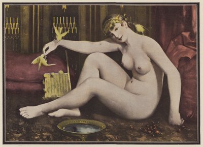 Nourrir les oiseaux - Alphonse Pellet
