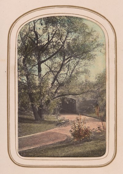Album de cartes-de-visite des vues de Central Park, 1860s - Ambrose Jackson