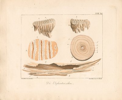  - Ambrosius Gabler