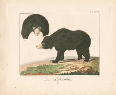  - Ambrosius Gabler