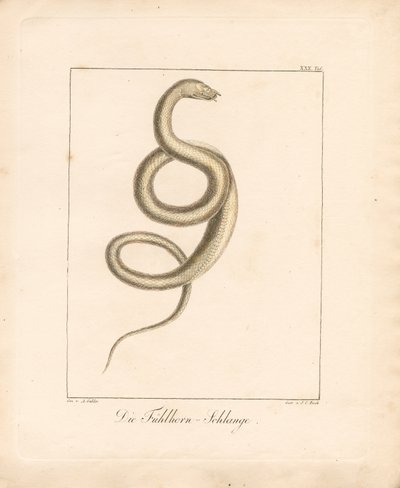  - Ambrosius Gabler