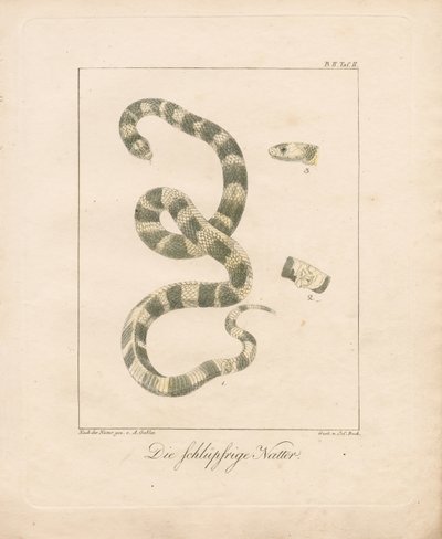  - Ambrosius Gabler