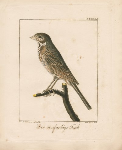  - Ambrosius Gabler