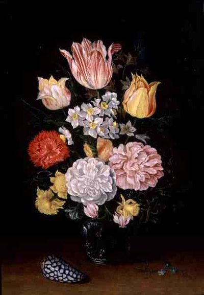 Nature morte de fleurs avec une coquille - Ambrosius the Younger Bosschaert