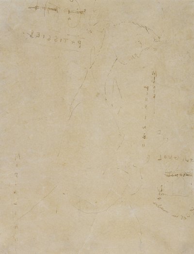 Croquis de Minnie Pinniken dans la Pâtisserie - Amedeo Modigliani