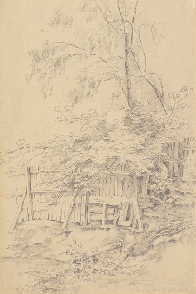 Bromley Hill - Amelia Long