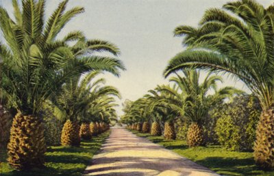 Une allée à Riverside (photo couleur) - American Photographer