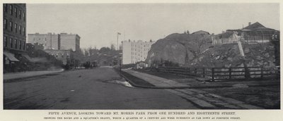 Cinquième Avenue, vue vers le parc Mt Morris depuis la Cent-Dix-Huitième Rue - American Photographer