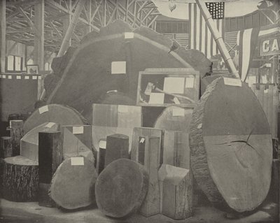 La hache de Gladstone - American Photographer