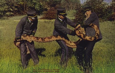 Manipulation d
