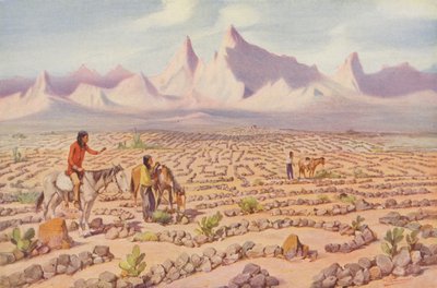 Mystic Maze of the Mojave Indians, Near Needles, California (photo couleur) - American Photographer