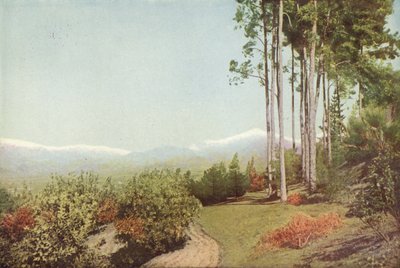 Old Baldy, depuis Smiley Heights, Californie - American Photographer
