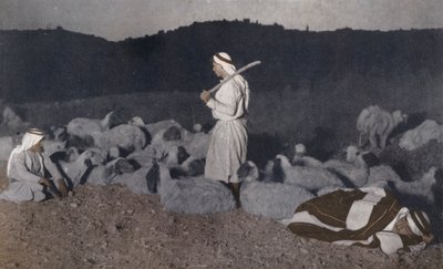 Bergers palestiniens surveillant leur troupeau la nuit (photo en couleur) - American Photographer