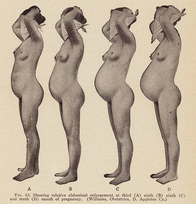 Signes et symptômes de la grossesse (photo n/b) - American Photographer