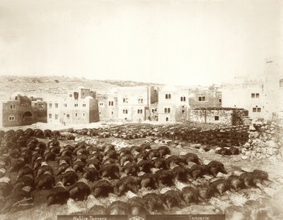 Tannerie à Hébron avec des peaux étalées au premier plan, 1898-1911 - American Photographer