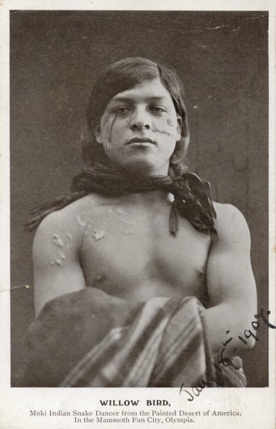 Willow Bird - Danseur de serpent indien Moki du désert peint d