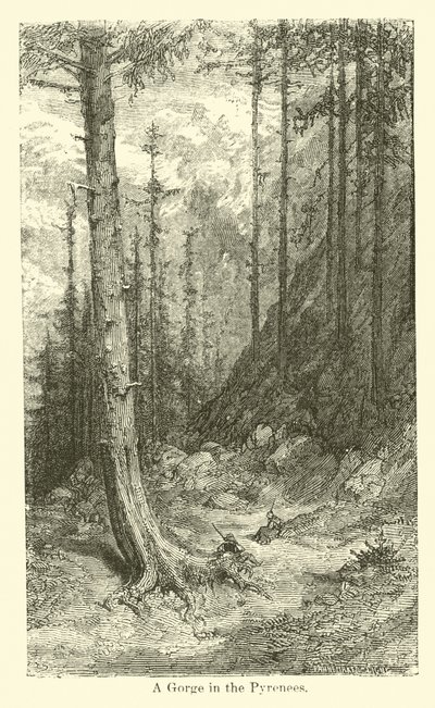 Une gorge dans les Pyrénées - American School