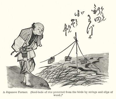 Un fermier japonais, semis de riz protégés des oiseaux par des ficelles et des morceaux de bois - American School