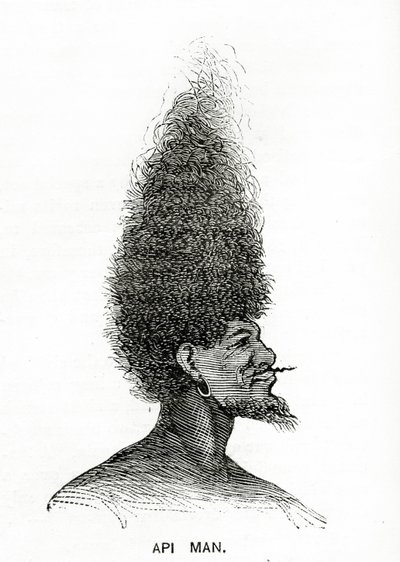 Api Man, illustration de Appletons Journal, 4 mai 1872 - American School