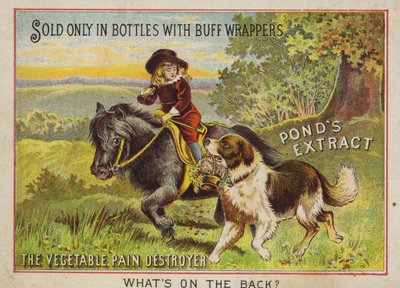 Garçon montant un poney avec son chien - American School