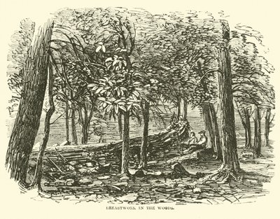Travail de terrassement dans les bois, juillet 1863 - American School