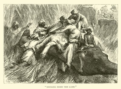 ?Ramener le gibier? - American School