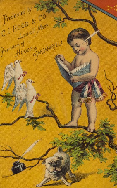 Chérubin lisant un livre dans un arbre - American School