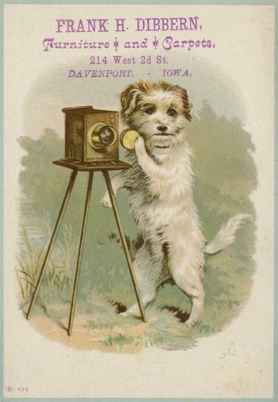 Chien avec un appareil photo - American School