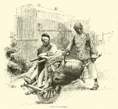 Aller au marché - American School
