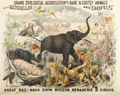 Grande Agrégation Zoologique d