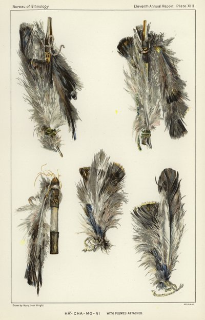 Ha-Cha-Mo-Ni avec plumes attachées - American School